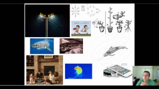 Characteristics of Life Response to Stimuli [upl. by Rossen]