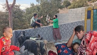 Documentary about the mountain life of Saifullah and Arad and bringing more goats to Arad [upl. by Aysahc]