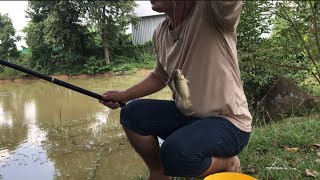 តោះស្ទូចត្រីក្រាញ់​  Carp Fish Fishing In My Property  How To Catch Carp Fish With Earth Worm [upl. by Tansy]