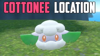 How to Catch Cottonee  Pokémon Scarlet amp Violet DLC [upl. by Sakhuja335]