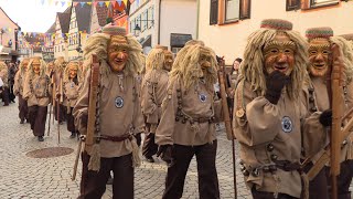 Fasnet Umzug in Hayingen Teil 2 Fasnetsdienstag [upl. by Sukcirdor]