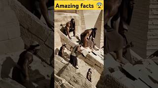 How Egyptians Built Pyramids science sciencefacts [upl. by Darrelle]