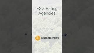 ESG Rating Agencies vs Frameworks  Standards [upl. by Wrench]