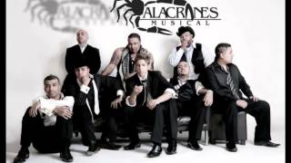 mix alacranes musical [upl. by Krysta]