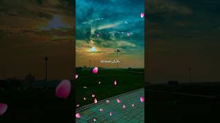 Surah AnNaba 2933 Allah Preserved Everything quran ytshorts [upl. by Nybor]