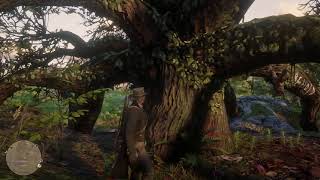 Killer Clue Locations Red Dead Redemption 2 [upl. by Donegan]