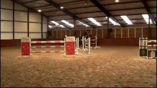 Dutch sporthorses  Athene lancelot x Goodtimes video [upl. by Pax]