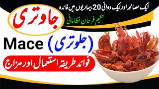 Javitri ke fayde  Benefits of Mace  Jalwatri  Hakeem Farhan Nizamani [upl. by Enneite]