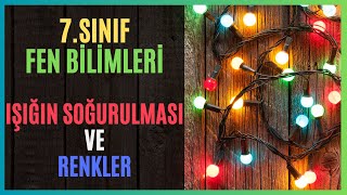 7SINIF  FEN BİLİMLERİ  IŞIĞIN SOĞURULMASI VE RENKLER 2024 [upl. by Savick992]