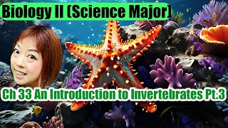 Ch 33 An Introduction to Invertebrates Part 3 [upl. by Abdul]