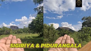 සීගිරිය amp පිදුරංගල ලස්සන 💛✨ new shortvideo nature trending sigiriya pidurangala lionrock [upl. by Ilenay145]