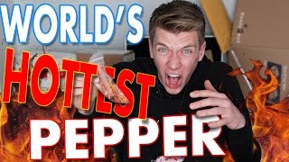 Tasting WORLDS HOTTEST PEPPER Challenge  Collins Key Taste Testing [upl. by Nagaer]