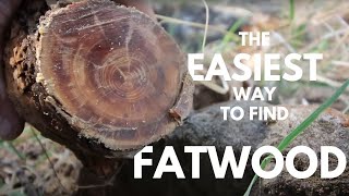 How to find Fatwood The easiest way [upl. by Annait]