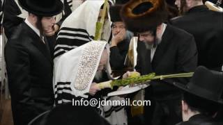 Sukkos 5777 With Skulen Rebbe [upl. by Maidy264]