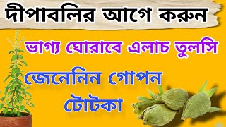 ভাগ্য ঘোরাতে কালিপুজার আগে বাড়িতে করুন এই কাজ vastu shastra bangla [upl. by Iron]