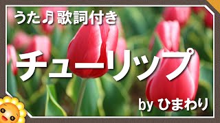 チューリップ（♬さいたさいた〜） byひまわり🌻歌詞付き【日本の歌百選】 [upl. by Repip418]