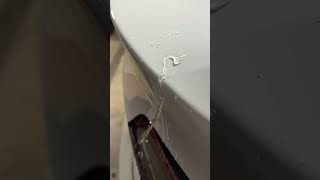 DIY Ceramic Coating ad ceramiccoating cardetailing tesla teslamodely httpsamznto3Z2ClUi [upl. by Nomed447]