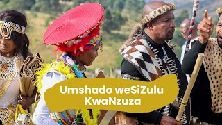 KwaNzuza Zulu Wedding Highlights Video [upl. by Bobbee]