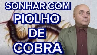 SONHAR QUE MATA PIOLHO DE COBRA SONHAR QUE PISA EM PIOLHO DE COBRA SONHAR QUE VÊ PIOLHO DE COBRA [upl. by Mohkos761]