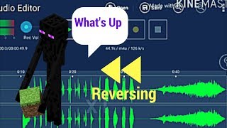 Reversing the Enderman sound Language Revealed [upl. by Phip939]