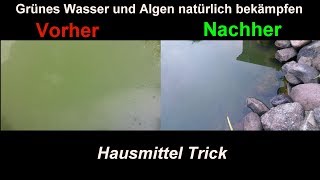 Algen im Gartenteich natürlich amp effektiv mit Hausmitteln bekämpfen Klares Teich Wasser ohne Chemie [upl. by Idoj]