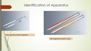 HB estimation  procedure and spotting [upl. by Nnyllatsyrc964]