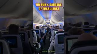 The Fun amp Dangers of Turbulence shorts aviation [upl. by Karry]