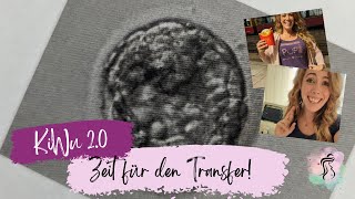 KiWu 20  es ist Transferwoche im Kryozyklus  Embryotransfer  ICSI Blog 2023 [upl. by Odla76]