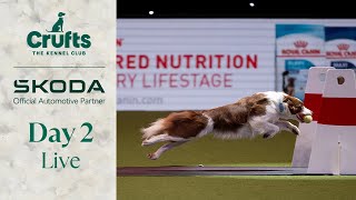 Day 2 LIVE  Crufts 2024 [upl. by Dopp]