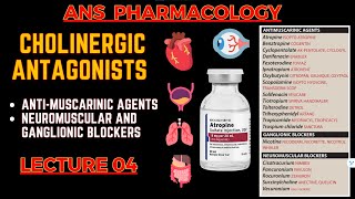 Cholinergic Antagonists  Parasympatholytics  Antimuscarinic Agents Neuromuscular blockers  L4 [upl. by Naujyt146]