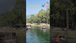 palampur travel nature himachalpradesh [upl. by Arotal232]