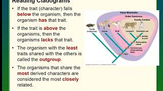 Cladograms and Phylogenetic Trees [upl. by Nnael]