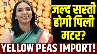 Yellow Peas Import Duty Latest News  इंपोर्ट पर सरकार के फैसलों पर Analysis Nidhi Khare Commodity [upl. by Munniks]