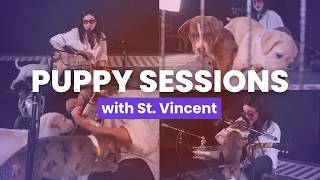 St Vincent Performs for Rescue Puppies  Puppy Sessions [upl. by Deckert]