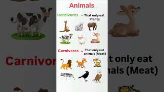 Herbivores carnivores Animals l Animals picture l shorts English Animals viral knowledge [upl. by Werd]