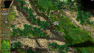 Aeneas vs Priamos Hard Mode  Die Siedler IV HE  Custom Map [upl. by Caro]