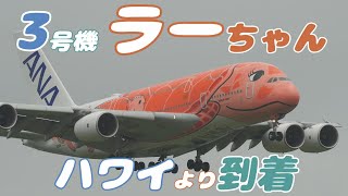 【4K】成田空港 さくらの山公園 全日空 超巨大旅客機 フライング・ホヌ ラーちゃん 元気にハワイから到着 [upl. by Baggett]