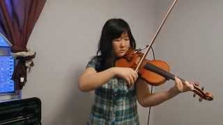 Iron and Wine  quotFlightless Bird American Mouthquot  Violin Cover [upl. by Snell]