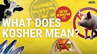 What Does Kosher Mean Kosher Explained  Jew Know It [upl. by Alius]