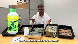 Video 5 Microgreens Growing Recipe [upl. by Airdnat619]