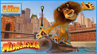 A Day in the Life at Central Park Zoo 🙉🦁  Madagascar  Mini Moments [upl. by Natanoy]