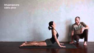 surya namaskara details  Yoga Resource Practice Manual eBook video library [upl. by Aicenad141]