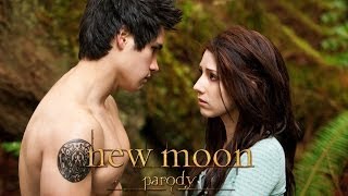 New Moon Parody by The Hillywood Show™ [upl. by Nariko]