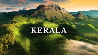 Kerala’s Most Beautiful Place Munnar  South India  Kolukkumalai [upl. by Ahtreb]