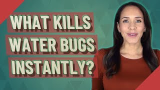 What kills water bugs instantly [upl. by Tatiana955]