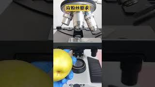 microscope shorts video 😱😱 youtubeshorts shortsvideo knowledgefactory viral [upl. by Nahgen]