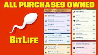 Bitlife 387 MOD  Golden Passport Promiscuity Potion Landlord Investor Time Machine Challenge Vaul [upl. by Sined]