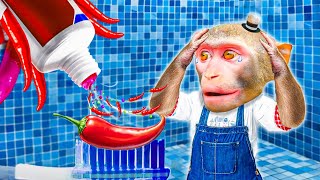 Monkey Clean the Bathroom and Help Little Brother with Toilet  Miko Monkey Animal [upl. by Moguel386]