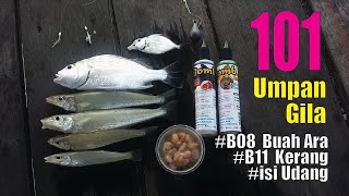 Memancing Ikan Siakap  Ikan Kerapu l Matsumoto Power Bait B02 Perisa Udang [upl. by Lebanna]