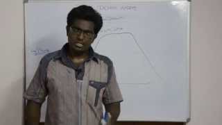 Bacterial Growth  Tamil [upl. by Faunia493]